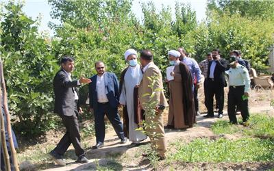 فرماندار رباط کریم: رونق اقتصادی و کشاورزی به روستاهای رباط کریم باز می‌گردد